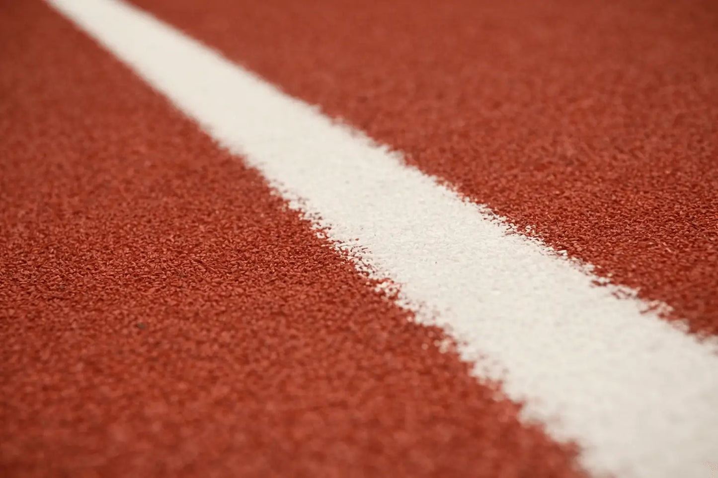 Sled Track with Lanes - Indoor/Outdoor