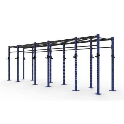 Monkey Bar Gym Rig