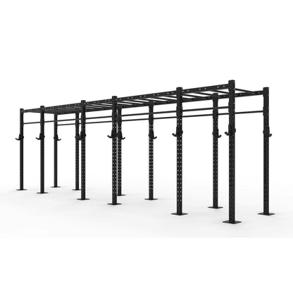 Monkey Bar Gym Rig
