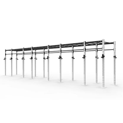 Monkey Bar Gym Rig