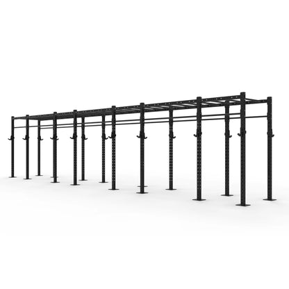 Monkey Bar Gym Rig