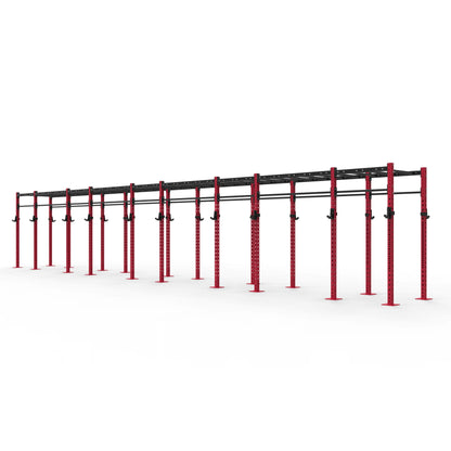 Monkey Bar Gym Rig