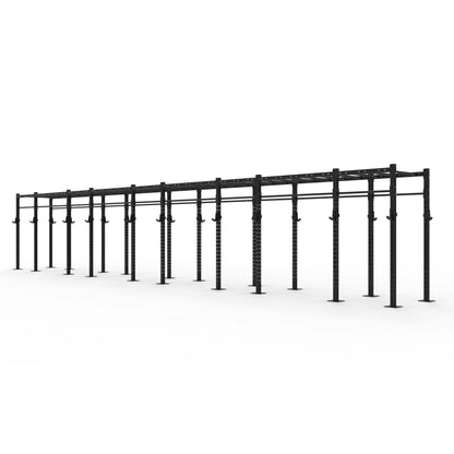Monkey Bar Gym Rig