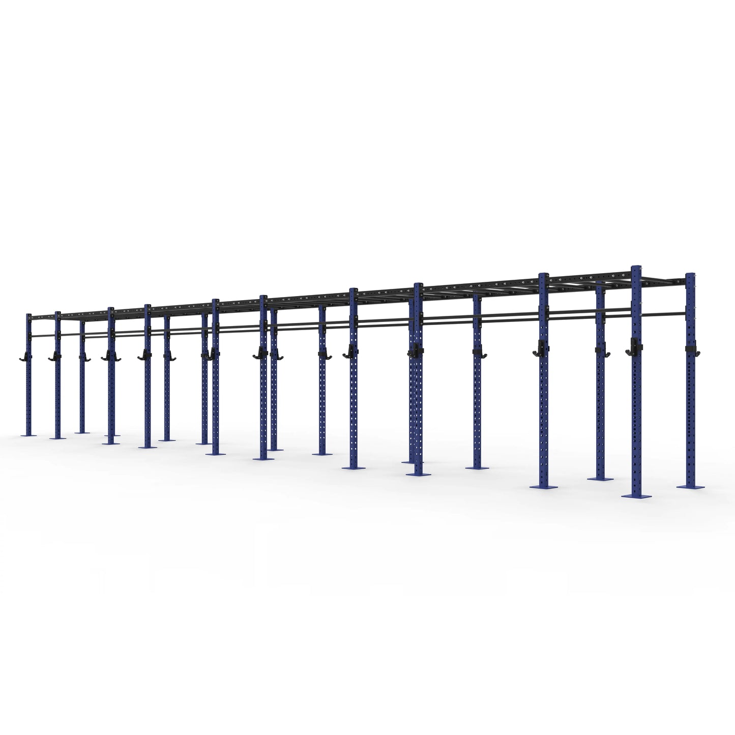 Monkey Bar Gym Rig