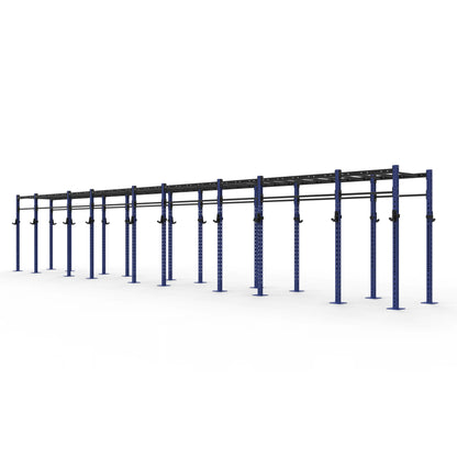 Monkey Bar Gym Rig