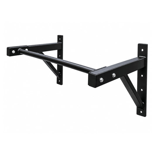 Wall Mounted Pull Up Bar
