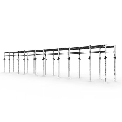 Monkey Bar Gym Rig