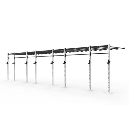 Wall Mounted Monkey Bar Rigs