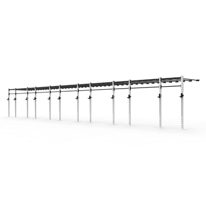 Wall Mounted Monkey Bar Rigs