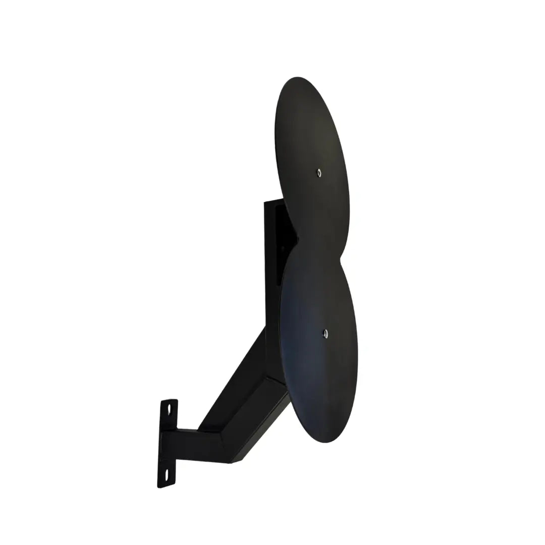 Wall Ball Target -Double