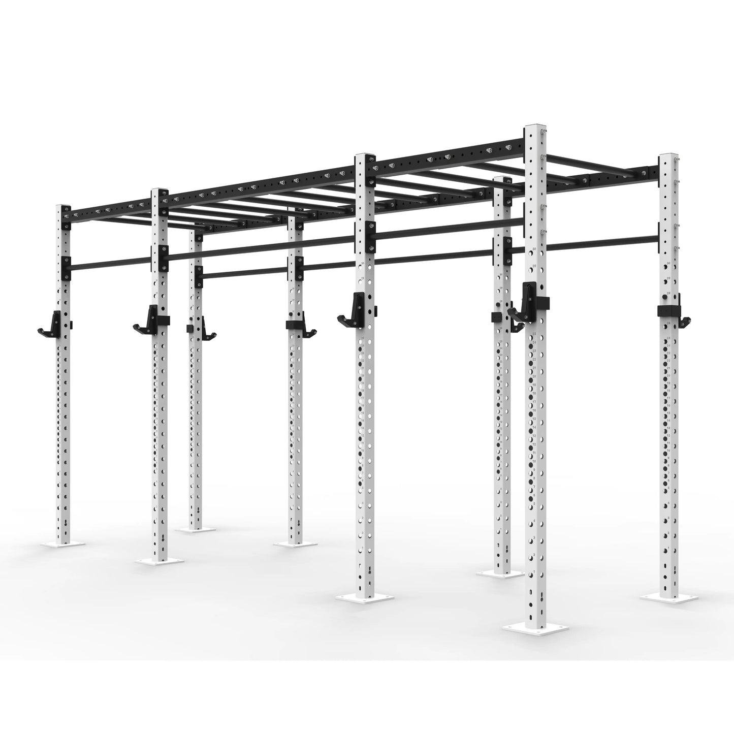 Monkey Bar Gym Rig