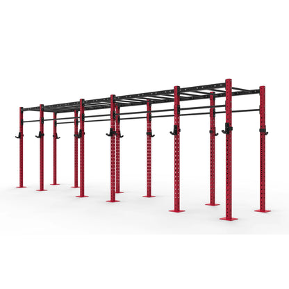 Monkey Bar Gym Rig