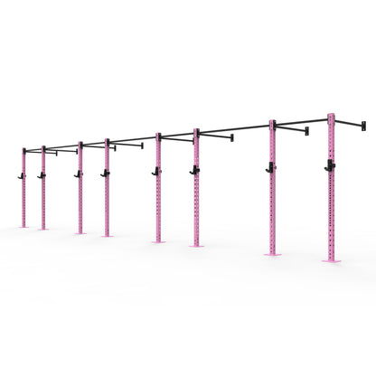 Wall Mounted Gym Rig - Modular