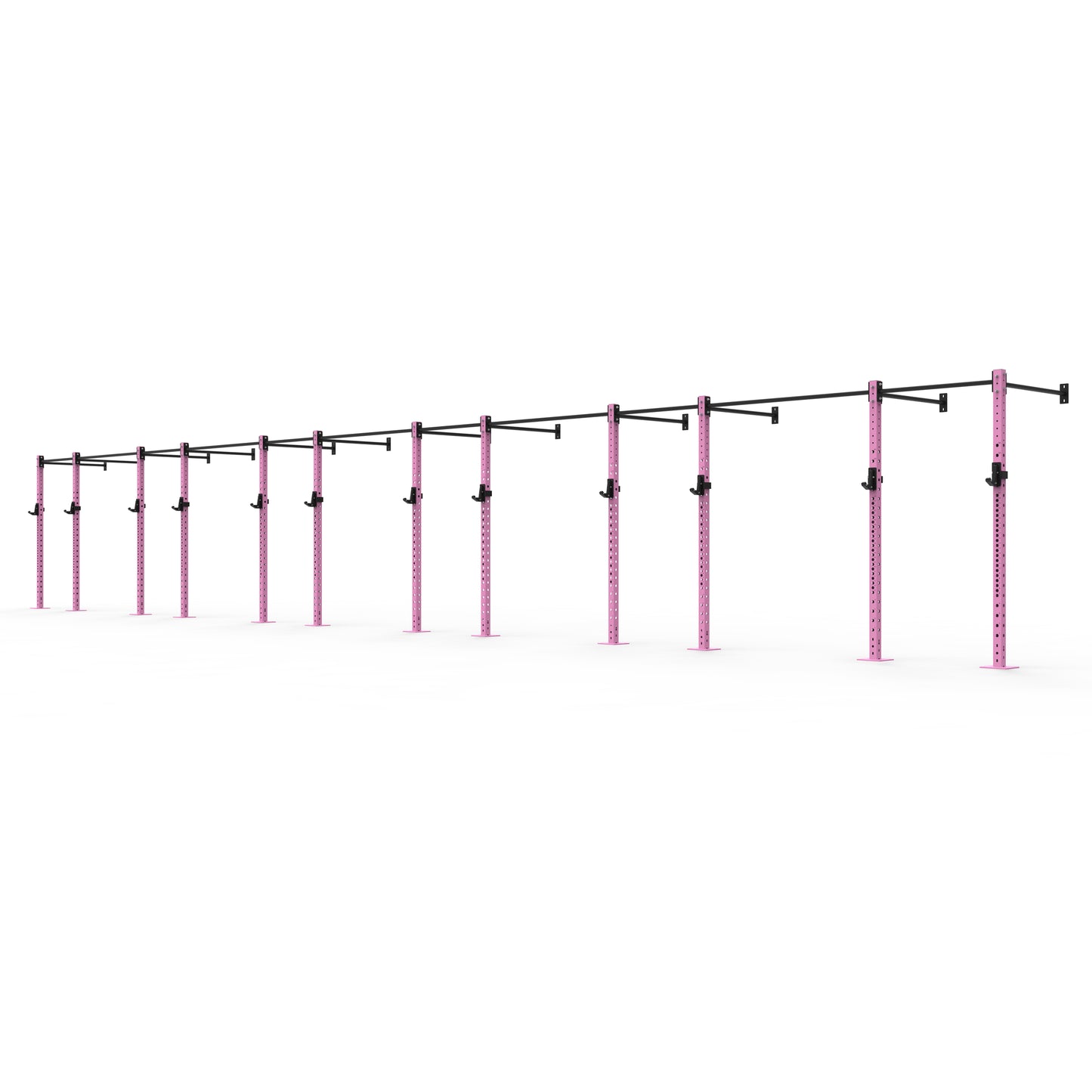 Wall Mounted Gym Rig - Modular
