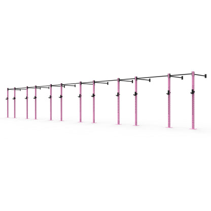 Wall Mounted Gym Rig - Modular