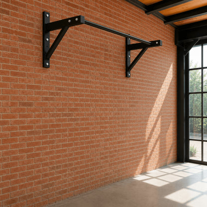 Wall Mounted Pull Up Bar