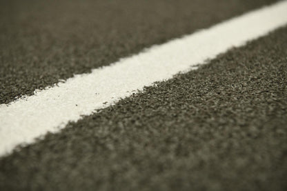 Sled Track with Lanes