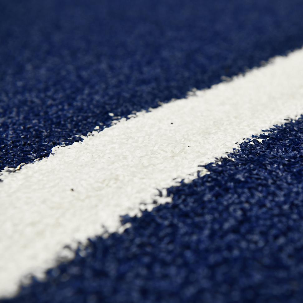 Sled Track with Lanes