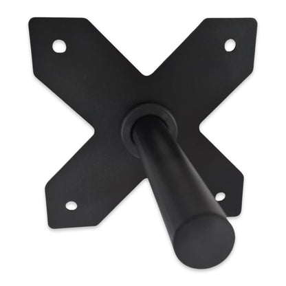Wall Mounted Weight and Bumper Plate Storage Horn